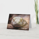 Search for komodo postcards Reptile