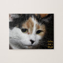 Search for calico cats puzzles Kitty