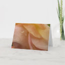 Search for rose petals cards Peach