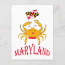 Search for cute crab postcards Seafood