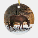 Search for equine christmas tree decorations Nature