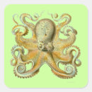 Search for unusual square stickers Antique