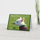 Search for westie mothers day cards Mum