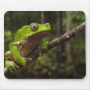 Search for arboreal mouse mats Frog