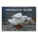 Search for duck billed Bird