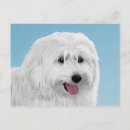 Search for sheep painting postcards Dog