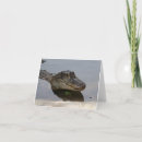 Search for alligator cards Green