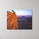 Search for dead canvas prints Desert