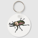 Search for stag beetle key rings Nature