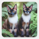 Search for siamese cats stickers Animals