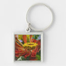 Search for chrysanthemum key rings Flora