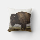 Search for wild animal cushions Mammal
