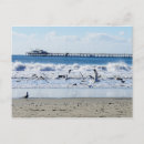 Search for avila postcards Central coast