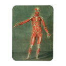 Search for medical magnets Conditions