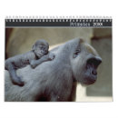 Search for primates calendars Monkey