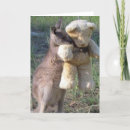 Search for wallabies cards Cute