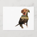 Search for dog walker postcards Customer