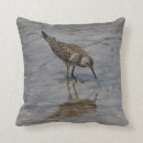 Search for sandpiper cushions Nature