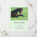 Search for equine invitations Pony