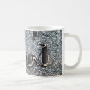 Search for penguin photo mugs Nature