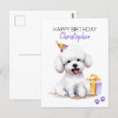 Search for bichon frise postcards Birthday