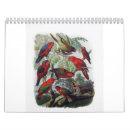 Search for parrot calendars Nature