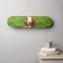 Search for cow skateboards Milk