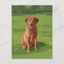 Search for labrador retriever dog postcards Pets