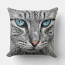 Search for cat face cushions Kitten