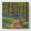 Search for belgium clocks Nature