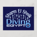 Search for diving postcards Diver