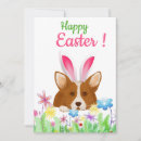 Search for funny happy easter cards Bunny