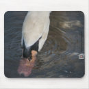 Search for sales mouse mats Cute