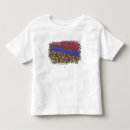 Search for hyacinth tshirts Netherlands