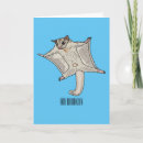 Search for sugar glider cards Flying squirrel