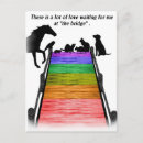 Search for dog with bird postcards Cat