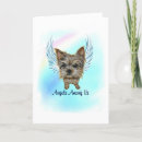 Search for yorkie angel Sympathy