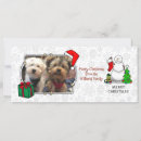 Search for cartoon snowmen christmas cards Winter