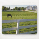 Search for grazing mouse mats Agriculture