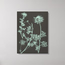 Search for studies canvas prints Flowers