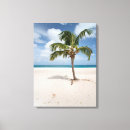 Search for tropical beach canvas prints Aruba