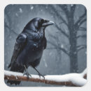 Search for black raven stickers Animal