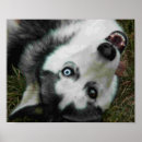 Search for anthro art Furries