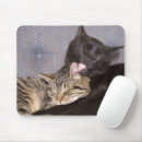 Search for cuddling mouse mats Kitten