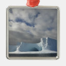 Search for in the wilderness christmas tree decorations Sunny