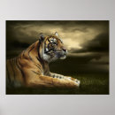 Search for tiger look posters Cat