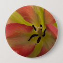 Search for yellow tulips badges Botanical