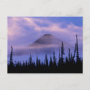 Search for northwest territory postcards Tree