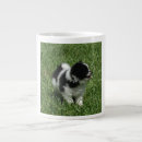 Search for pomeranian mugs Fluffy
