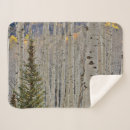 Search for danita delimont blankets Aspen